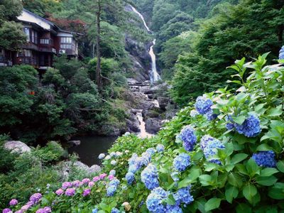 緑豊かな中庭風景