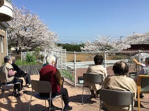 桜が満開の屋外テラス