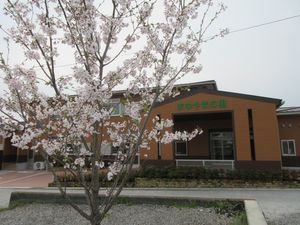 桜のある施設外観