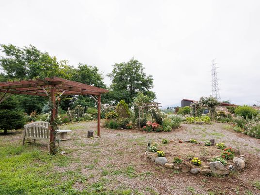 広々とした植物の中庭