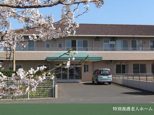 桜に彩られた正面外観  