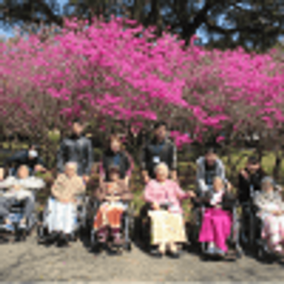 桜のある庭