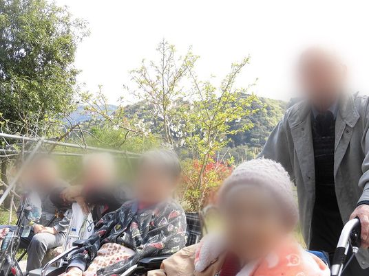 緑に囲まれた庭