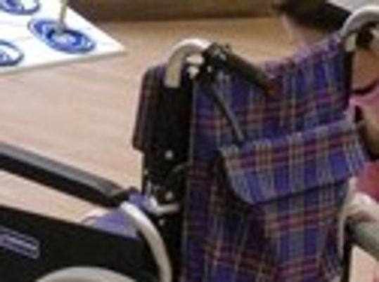 車椅子と利用者の様子