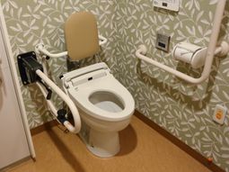 手すり付きトイレ空間