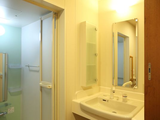 浴室の隣に、レバー式の蛇口の洗面台がある。清掃が行き届き清潔である。大きな鏡と収納棚が設置されている。