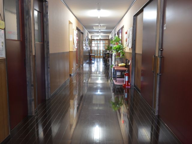 光輝く清潔な廊下 廊下 植物が飾られた温かみのある廊下が、心地よい日々を過ごす空間を演出しています。手すりも完備で安心です。