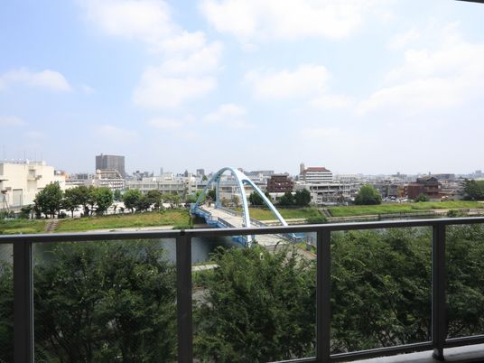 都市の景色と緑のバルコニー
