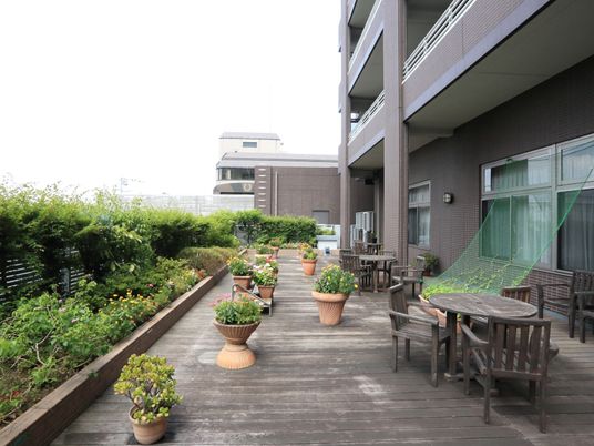 緑あふれる屋上テラス