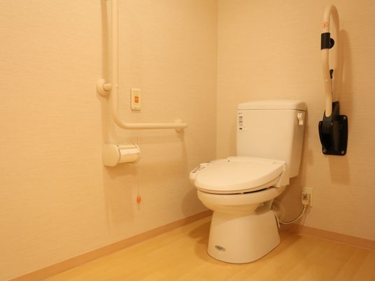 手すり付きの清潔なトイレ