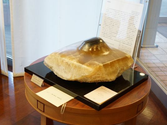展示品と説明文書