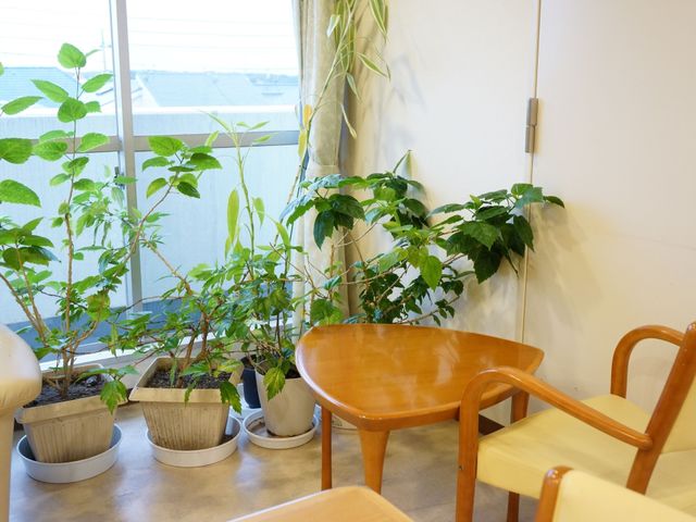 緑溢れる休憩スペース ベランダ 窓際の植物が生い茂る温もりある休憩コーナーです。日当たりの良いテーブルで、のんびりとした時間を過ごせます。