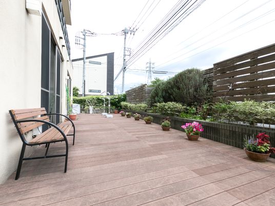 植物に囲まれた庭のベンチ