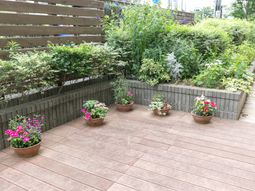 緑豊かな中庭の様子