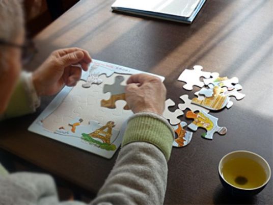 パズルを楽しむ様子
