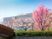 桜並木のある外観