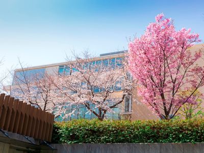 桜並木のある外観