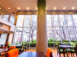 明るいダイニング空間