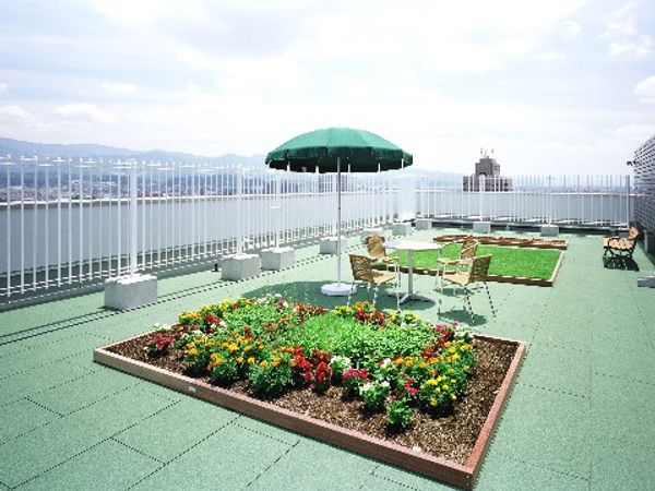 屋上庭園と植物