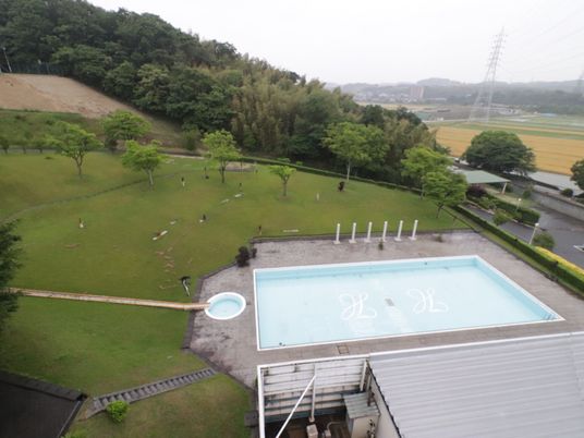 緑豊かな庭とプール