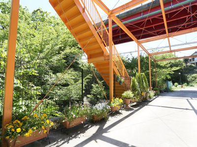 中庭の緑と階段