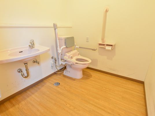 トイレは温水洗浄便座で操作パネルは便座の横にある。折り畳み式の手すりと背もたれ、緊急ボタンが付いており安心である。トイレの横に洗面台がある。