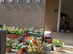色とりどりの花とエントランス