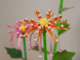カラフルな手作り花