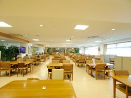 広々とした食堂の風景