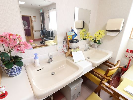 清潔な洗面台とミラー