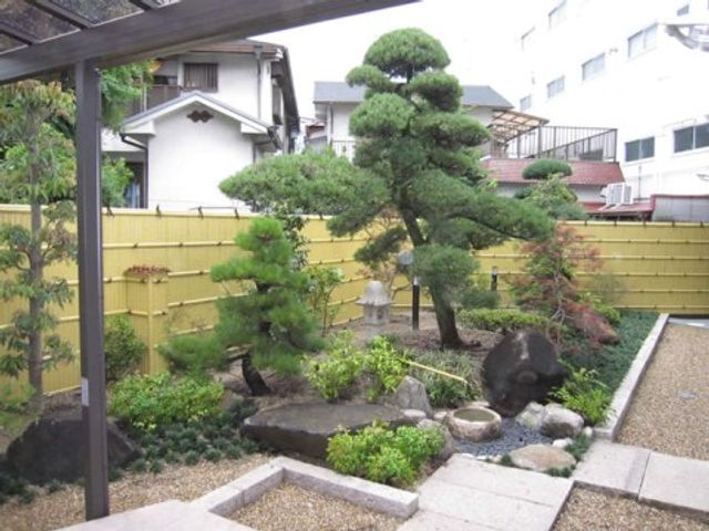 緑豊かな和風庭園 庭園 自然光があふれ和やかな雰囲気の中庭です。散策や憩いのひと時をお過ごしいただけます。