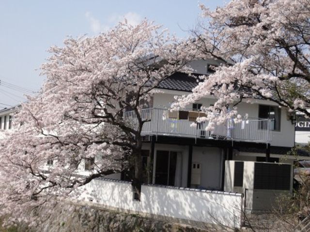 桜並木の美しい外観