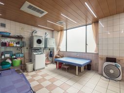 清潔な洗濯設備の部屋