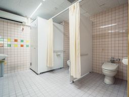 清潔な浴室の内観