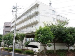 多階層の建物と緑樹
