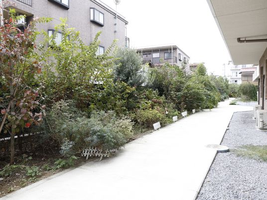 緑豊かな施設の中庭