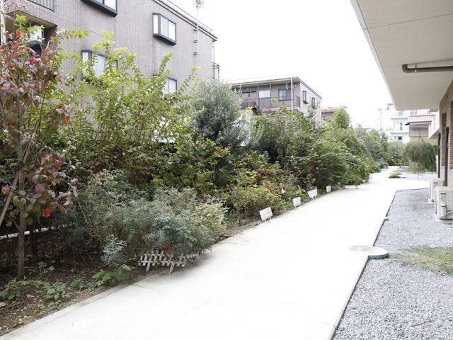 緑豊かな施設の中庭 施設の周囲 自然に囲まれた落ち着ける中庭です。散歩や憩いの時間に最適な空間が広がっています。