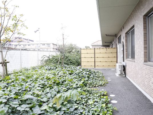 緑豊かな庭と廊下