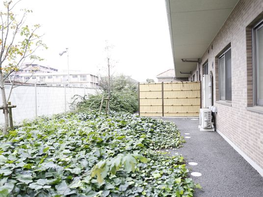 緑豊かな庭と廊下