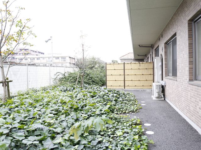 緑豊かな庭と廊下 施設周辺 四季折々の自然を感じられる中庭です。ゆったりとした時間を過ごすのに最適な環境が整っています。