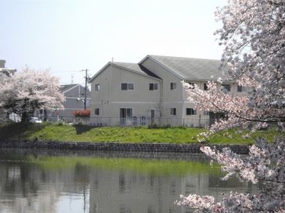 桜並木と建物の外観