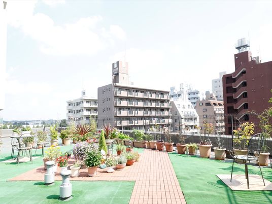 明るいテラスの植物たち