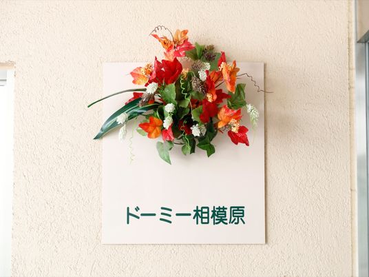 看板と装飾花