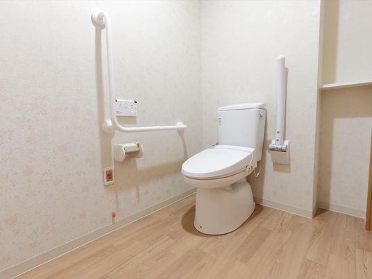 バリアフリーのトイレ設備