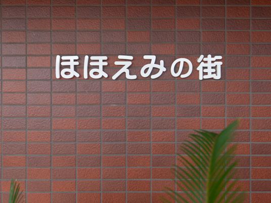 はなみずきの標