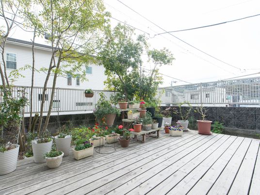 中庭の植物とデッキ
