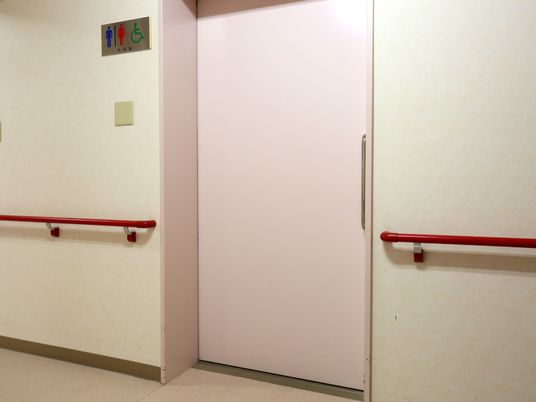 廊下の一角に共用のトイレがある。扉は薄いピンク色で、引き戸になっている。近くの壁には手すりが設置されている。