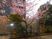 桜咲く中庭  