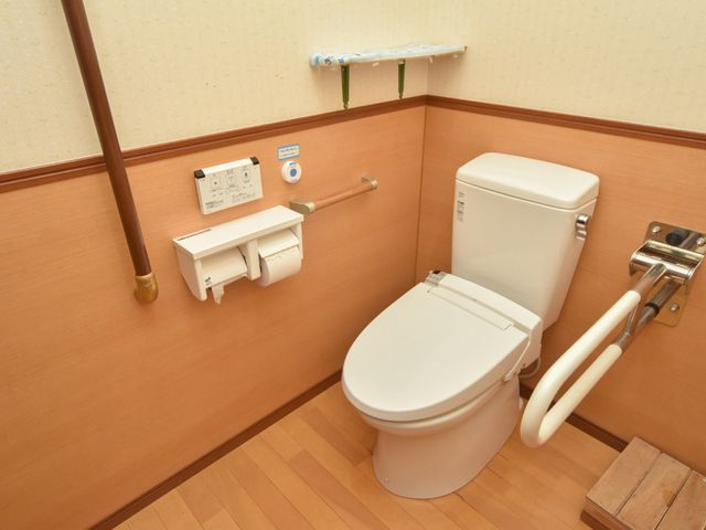 トイレの手すり付き トイレ 安定した手すりが備わり、ゆったりとした空間で快適な使い心地を提供しておりますので、皆様のお力になれる環境です。