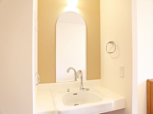 清潔な洗面台と鏡